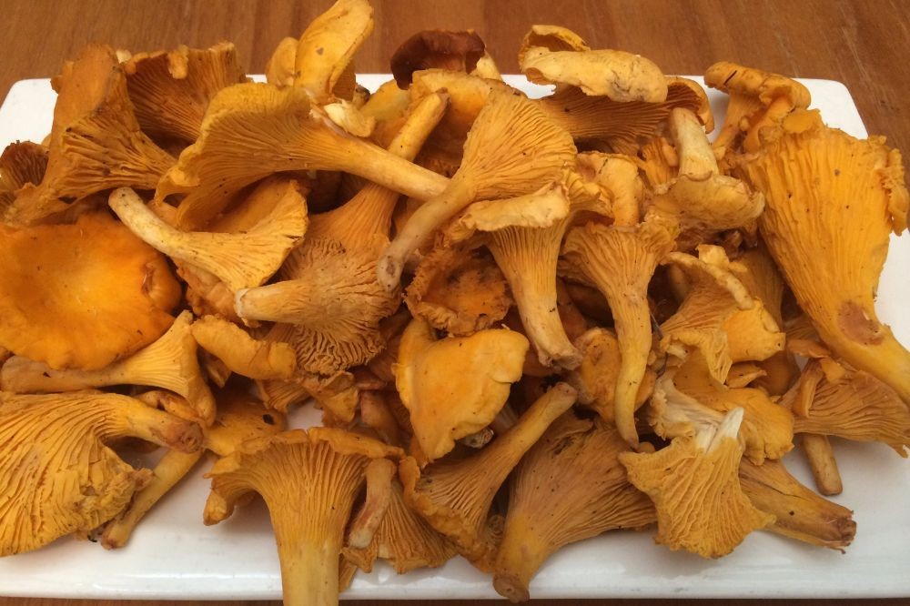 comida para llevar Mostoles 